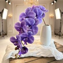 9头胶片仿真蝴蝶兰手感假花婚庆仿真花兰花家居装饰花人造花批发
