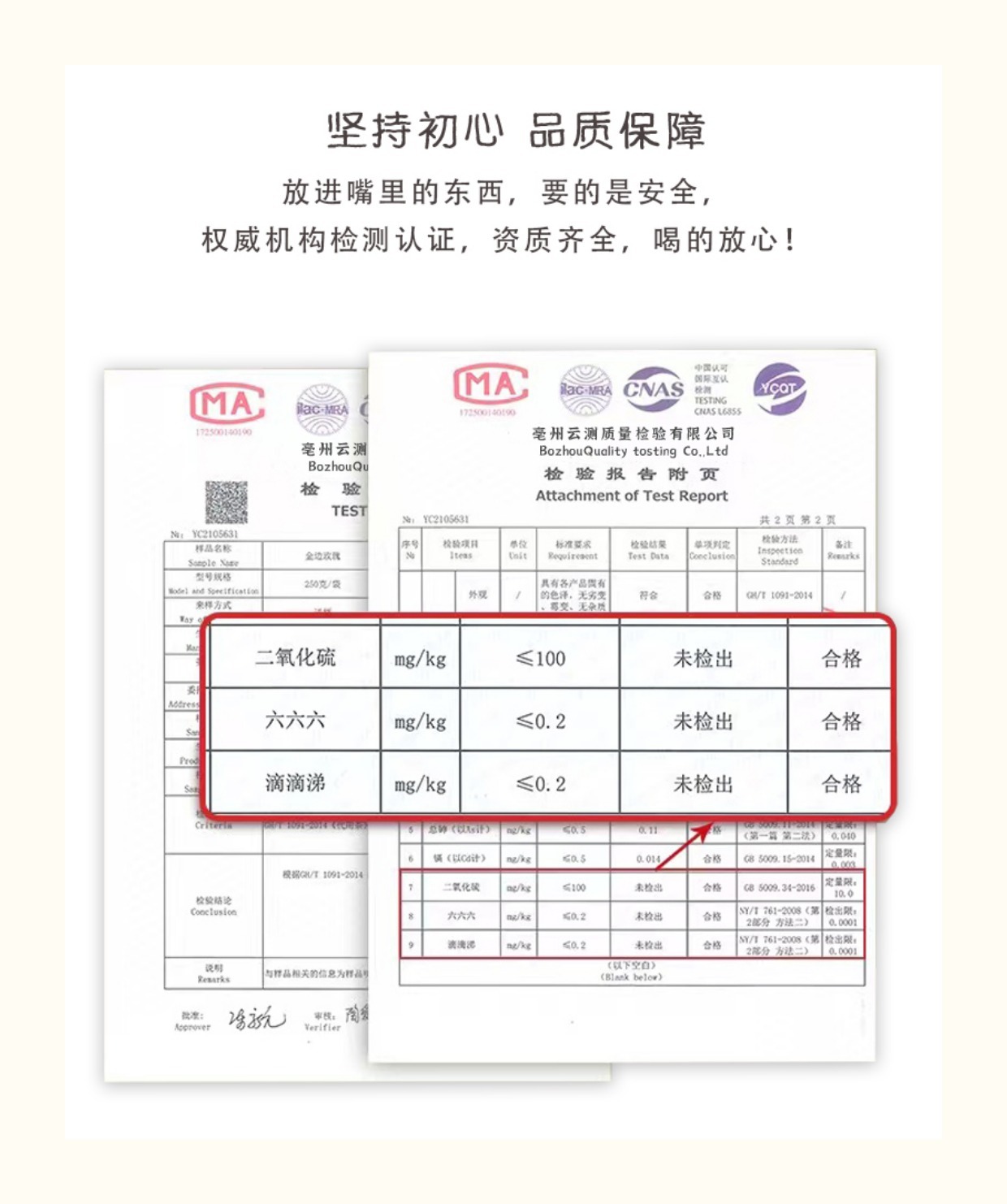 American Ginseng Slices Xi Yang Shen 10g Dried Root Tea and Culinary Use in use