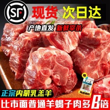 内蒙古羊蝎子新鲜带肉火锅生鲜羊骨头10斤多肉羊脊骨脖骨商用羊肉
