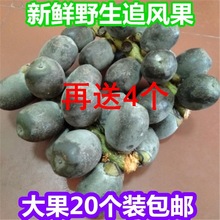 Խ������׷�L���̻��r���F��ժ�ݾư��]20�����ղض���4����