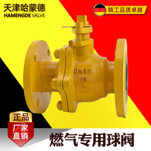 ���ɵ·�����o�úʯ�Ͳ���ȼ����Ȼ�⌣���T䓷��m���yQ41F-16C