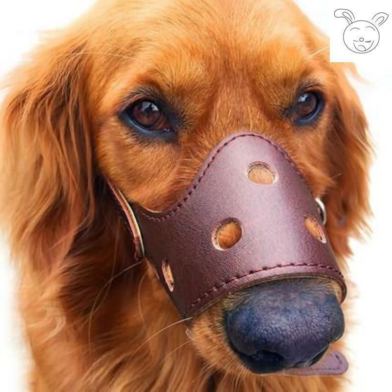 犬の口のカバーが噛まれないようにします。中大型犬の乱れを防ぐ金毛馬犬徳牧の口のカバーが吠えます。|undefined