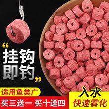 �w���~�D�t�x���~�a�~�D��Ұឺڿ��w���D�~ʳ����~�D���h����D