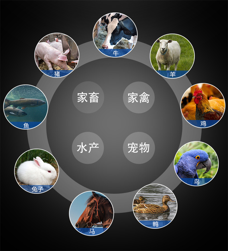 适用动物.jpg