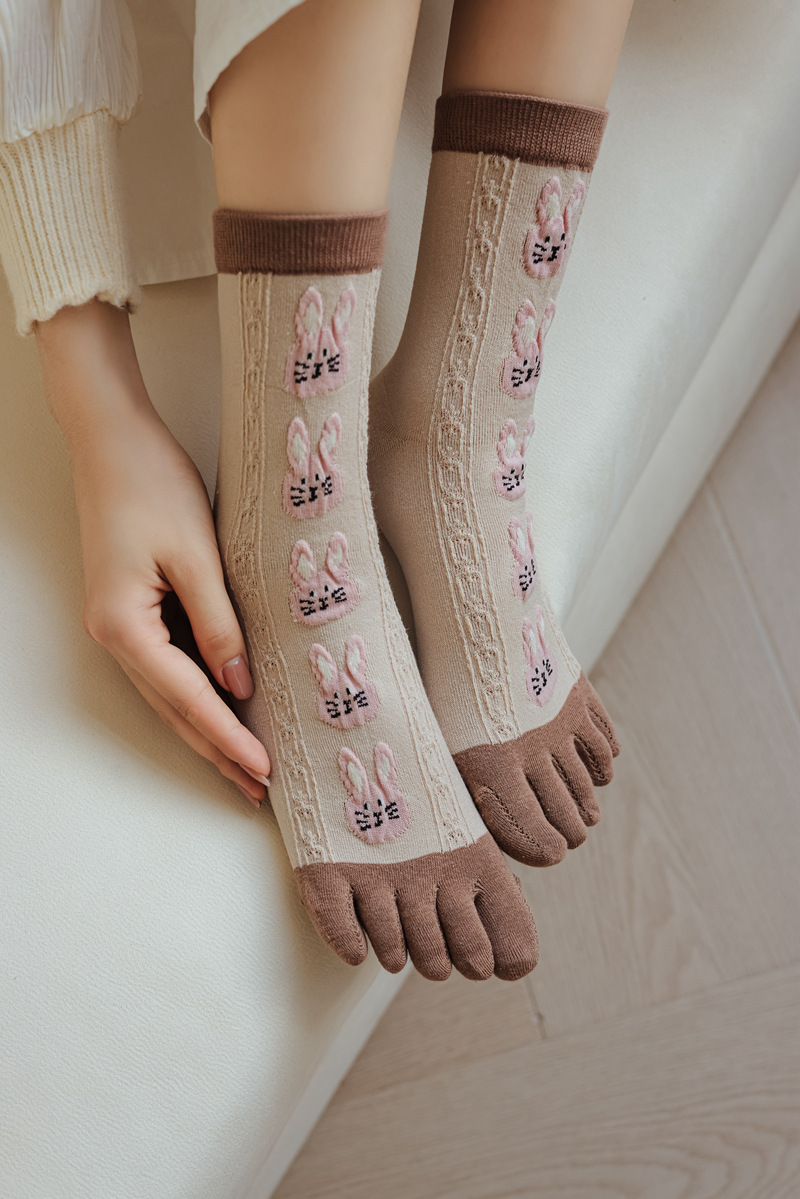 Frauen Herbst Und Winter Reine Baumwolle Fünf Finger Socken Gedruckt Split Toe Socken Vintage Bequeme Socken – Detail 5