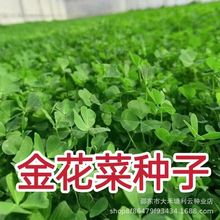 �𻨲˷N���Ϻ����^�N�Ѵ��~�S�����^�N�������~���＾���˷N��