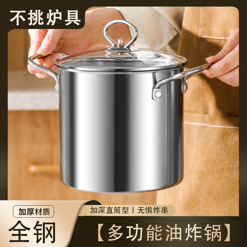 스테인레스 스틸 프라이어 주방 연비 효율적인 소형 딥 포트 (여과기 포함) 다기능 바이노럴 가정용 티안루오 프라이어