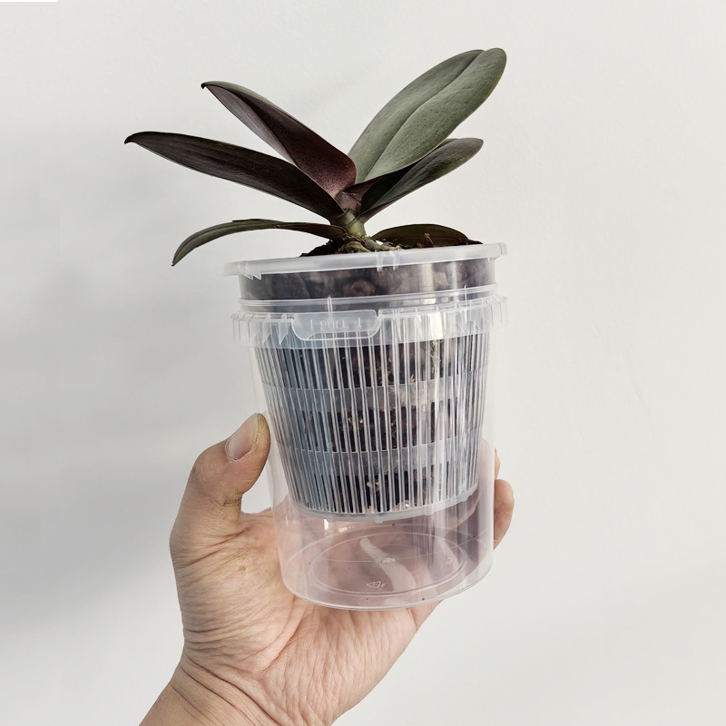 Lazy Man Automatic Absorbent Flower Pot Phalaenopsis Water Storage Root Control Root Raising Simple Conservation Watering Free Novice Scheme