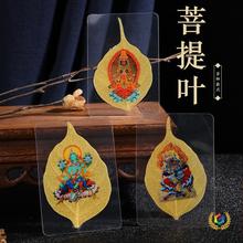 ?��Ȼ�����~������ķș���G��ĸ�ƿ��S�ƿ����쮋���Ϳ���