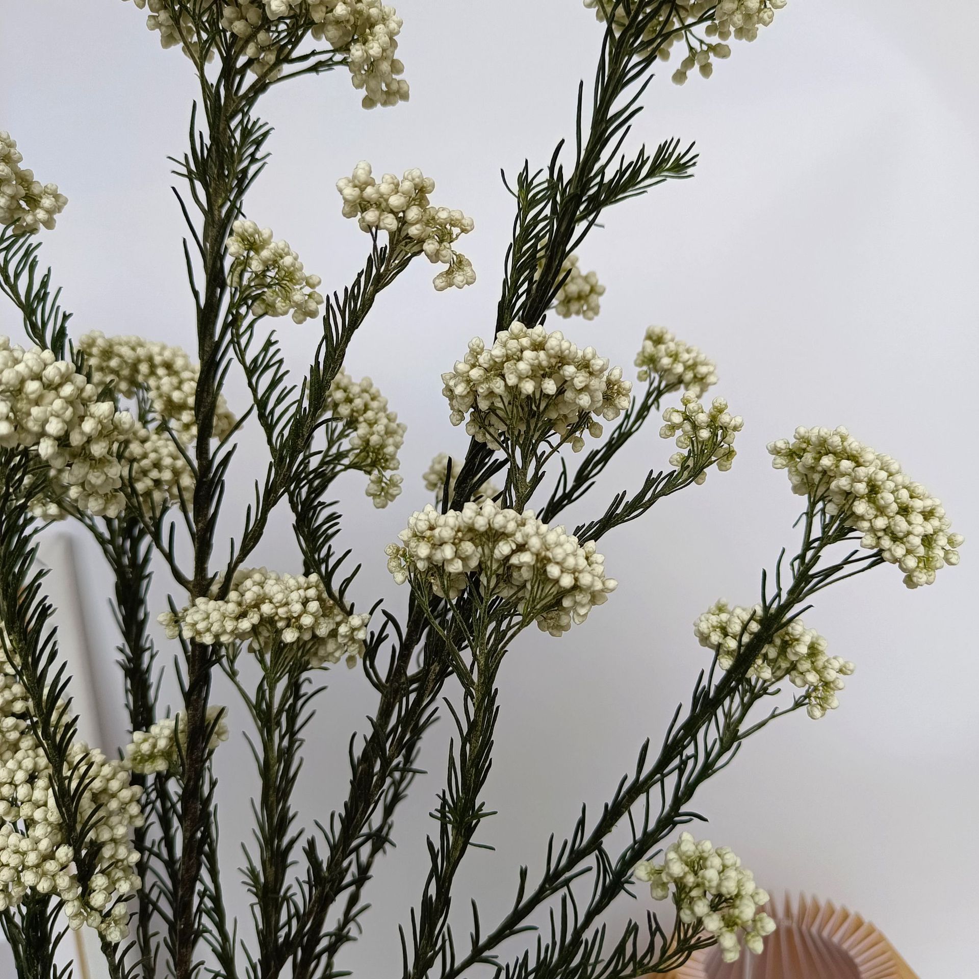 99aef081719c6f2283a56a7dfa7846