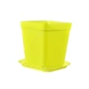 Yellow: Approximately 7cm in diameter * 7cm in height * 5cm in bottom