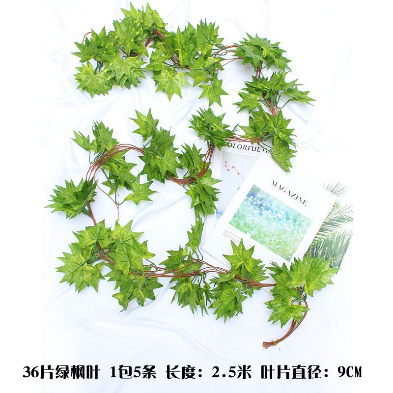 36 녹색 단풍 잎 (5 팩)