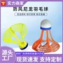 训练有风抗风室外羽毛球