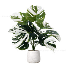 �S�����l����Gֲ�G�}�������c�̨�Ҿ��b��^�z�ָм�ֲ���b�