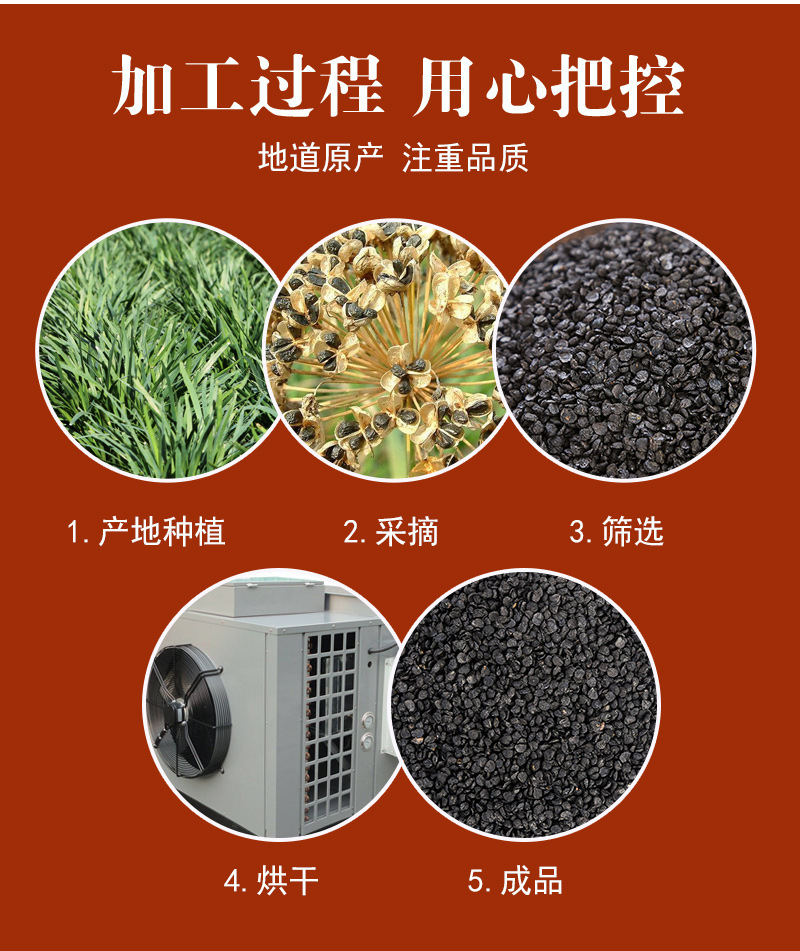 Jiu Cai Zi (Allium tuberosum) — Roasted Chive Seeds, Food-Herb for Tea & Powder preparation