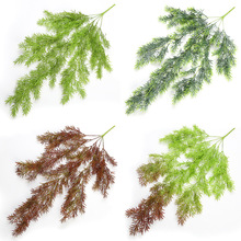 ����ާ�˹�ٲݼҾ��b��@��ˇ���ϻ���ɺ��ˮ�ݱڒ��ٗl����