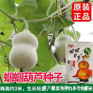 �X�X���J�N��������JС���J�L�����J�^�pʳ�ú��J�N���߲˷N��