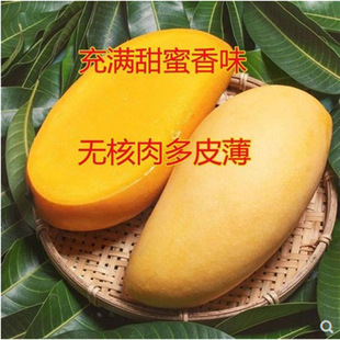 ����â��â������޽��� ��͹����F��С̨�r�ļ�â���箔��Y��