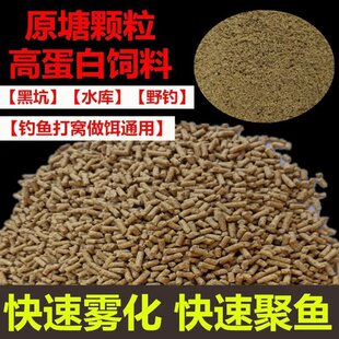 �~�w���~ʳ��C������������D�ϸC��ɢ�b�ڿӼt�x���Ұ����