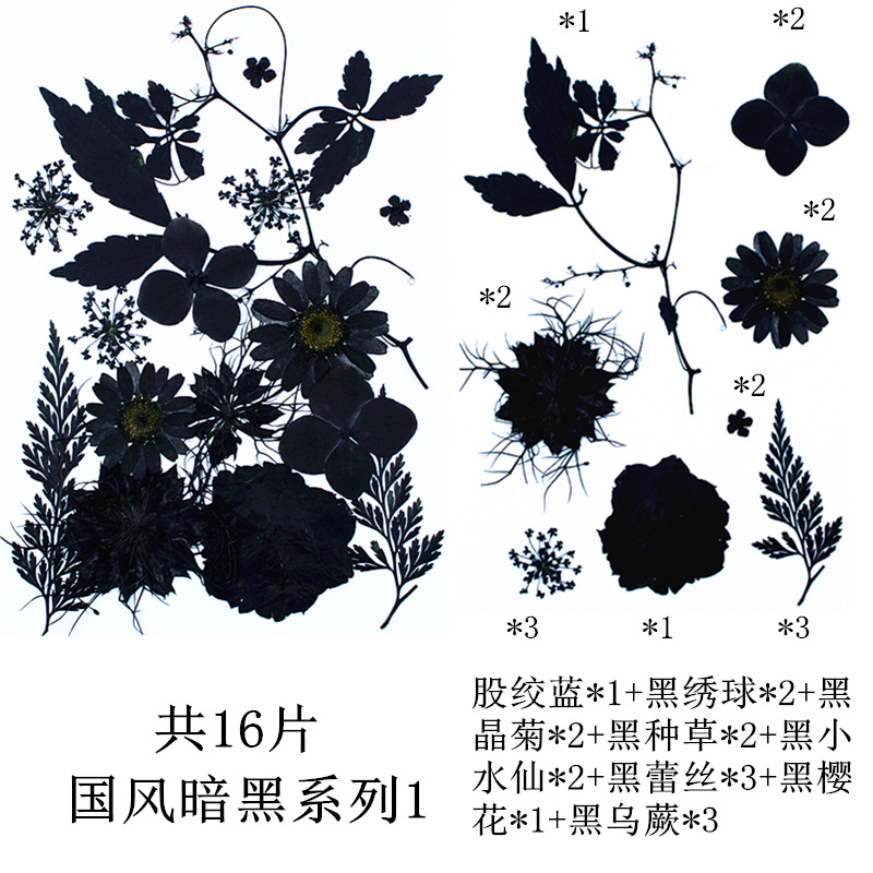 내셔널 스타일 다크 시리즈 1