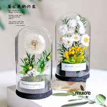 ������������ֲ��[��΢���^���ֶY���\ƿ���նY��̎����ѹ�Ӣ