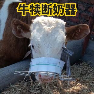 ����������Сţ���Ӡ�ţ���̺���һ�w�A�μ����r��ţ����ţ���¿�