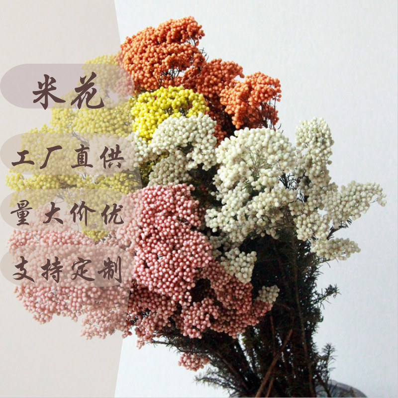 Real Preserved Flowers for Home Decor, DIY Handmade Materials for Wedding and Celebration Arrangements