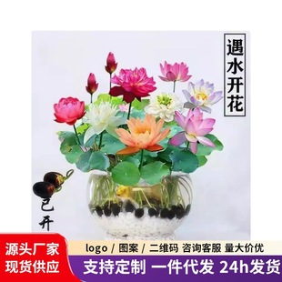 �_���߲���ɏˮ�໨��ֲ����B�ɻ��N���҃��̨�N�Ӵ�˯ɏ�Nź��