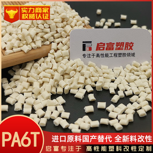 PA6T Raw Material Domestic Substitute Imported E630NK E430NK RG430NK CH230N AE4200 A335