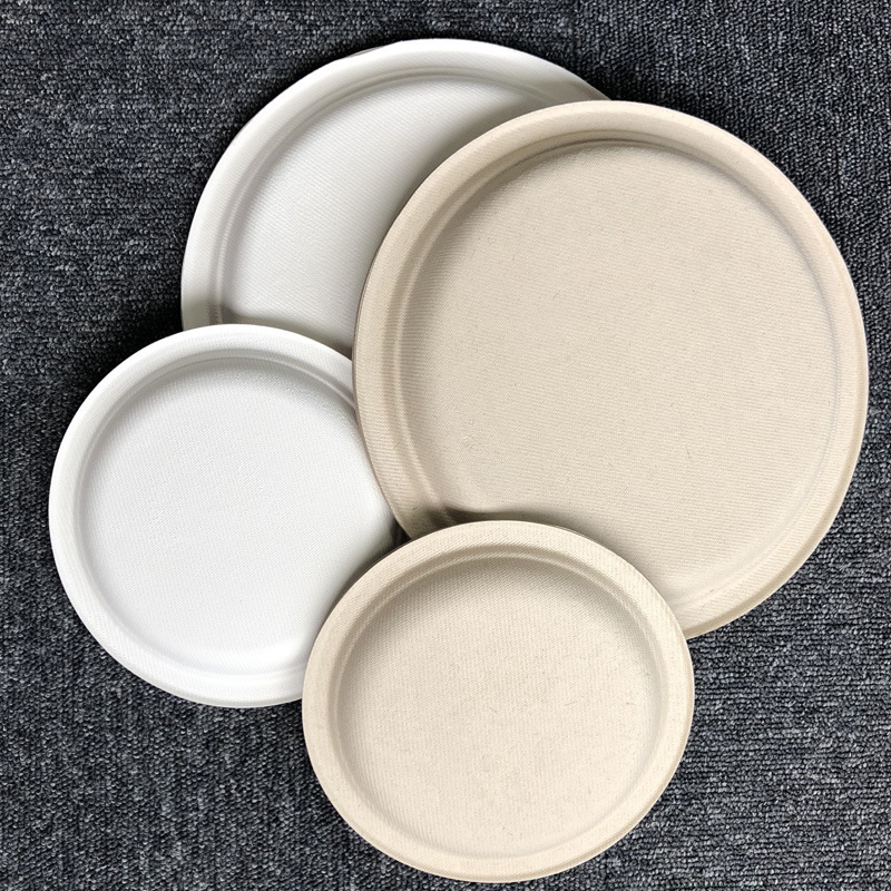Painting Plate Paper Products Disposable 9inch Round Plates Biodegradable Sugarcane Pulp Dinner Barbecue Plate Factory Direct Sale
