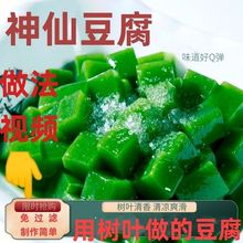 神仙豆腐树叶豆腐柴粉观音豆腐臭黄荆树叶凉粉一件代发