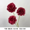 Peony