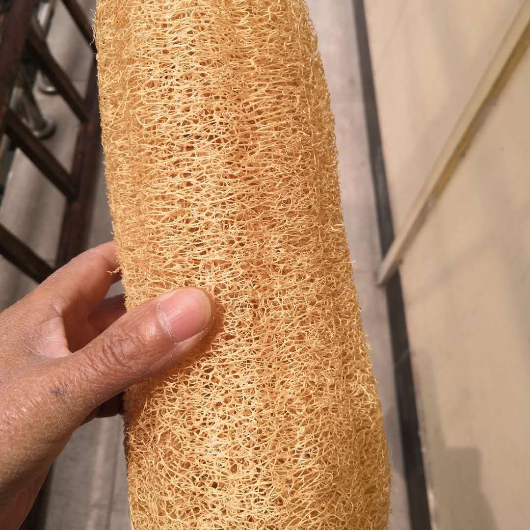 卸売のヘチマ布、食器洗い布、ヘチマの果肉を使った鍋拭き布、ヘチマ布、直径7cm