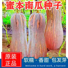 ۱ϹϷNӳ߮aϹA\ļ߲˷N