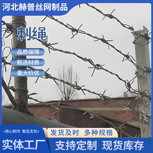 热镀锌钢丝刺绳防盗防攀爬正反拧刺绳带刺铁丝网铁蒺藜