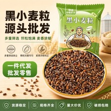 新货黑小麦带皮黑小麦粒批发黑麦米食用杂粮支持一件代发批发零售