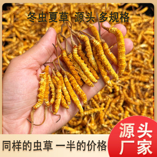 һ��·���l ��Ʒ���x�Ĳݻ�Ƥ�x�����aƷ�ݾ��ͶY һ��؛Դ�ɴ��l