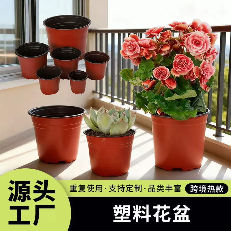 多规格双色花盆PP简易软塑料育苗盆多肉植物花盆厂家批发
