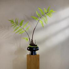 �t��ާ�ٻ���z����ʽ�����b��^�U�����P�[��С���辰