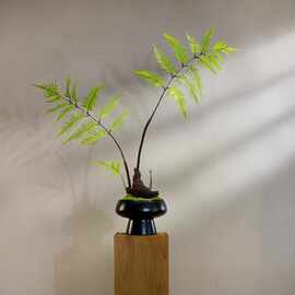 红磷蕨假花金丝新中式茶室装饰猴头禅意玄关摆件小型盆景