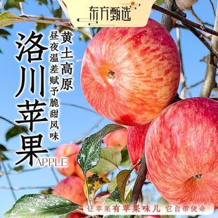 �崨�O���������rˮ�������b�ͶY�Ĺ����rSF/JD