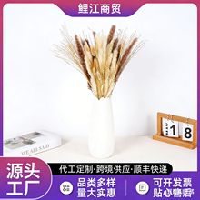 ����˹��С�JȔ��β�ݷ��m��Ȕ���N�M�ϻ����羳�ɻ�����������