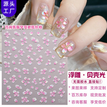 ����羳��5D�����N��ؐ���������N�������������ˮ���W�tָ���N