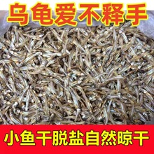 ��ˮС�~�����Z������ϵ�ˮ�~�ɰ�����������ʳʳ���~��