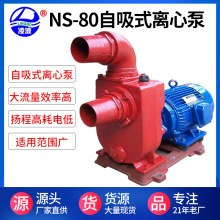 阳春凌波牌NS-80型大流量离心自吸工业供水泵变频自吸式工业专用