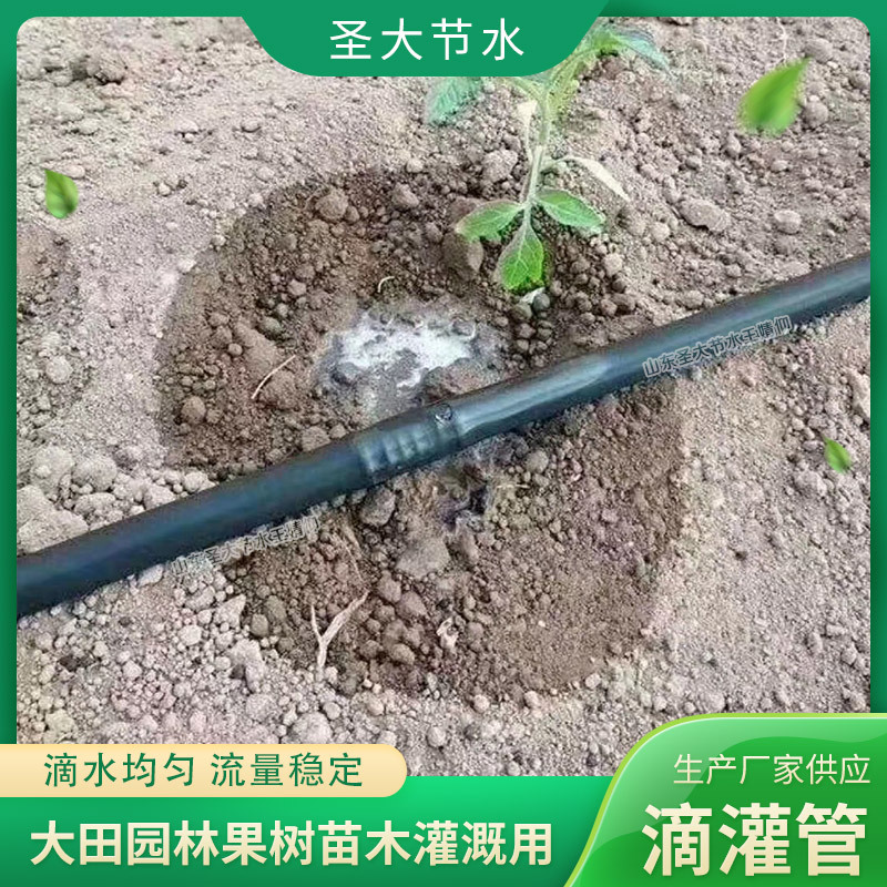 圆柱式滴灌管厂家 圣大节水生产农田果树苗木园林绿化灌溉滴水管作用