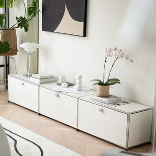 Light Luxury Mid-Century Living Room Cabinet Tv Cabinet Modern Simple U Stainless Steel Storage Cabinet Sm Home Small Apartment Floor-Standing