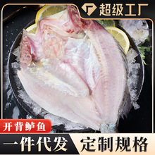 海鲈鱼开背去内脏开背鲈鱼新鲜活冷冻深海鱼商用批发一件代发