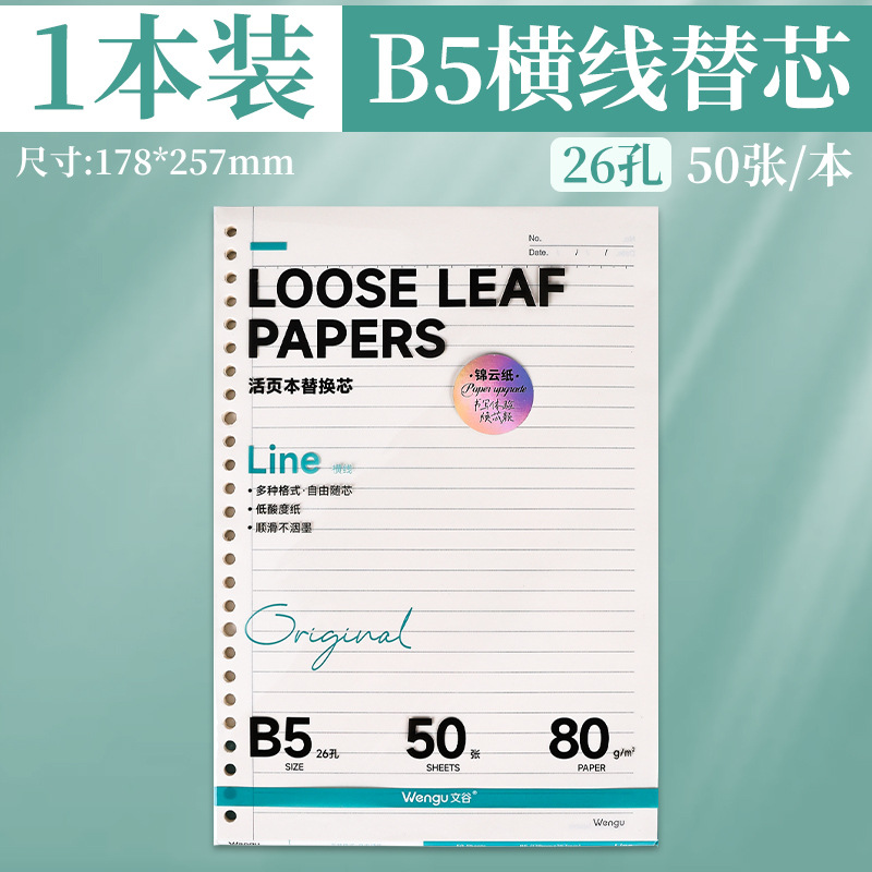 B5 alambre horizontal para reemplazar el núcleo - 50 hojas