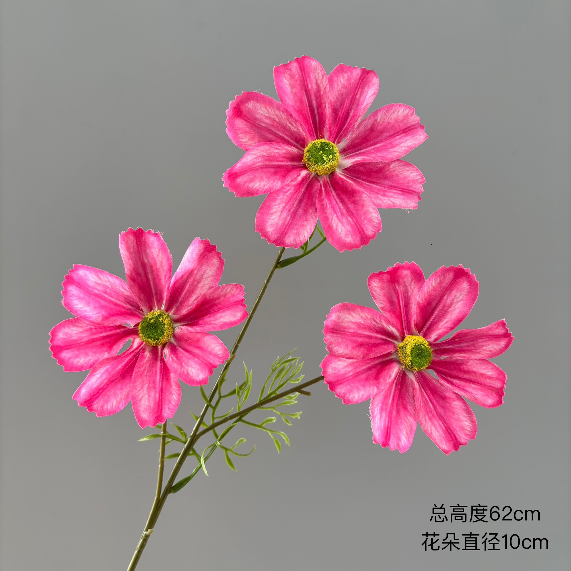 로즈 레드